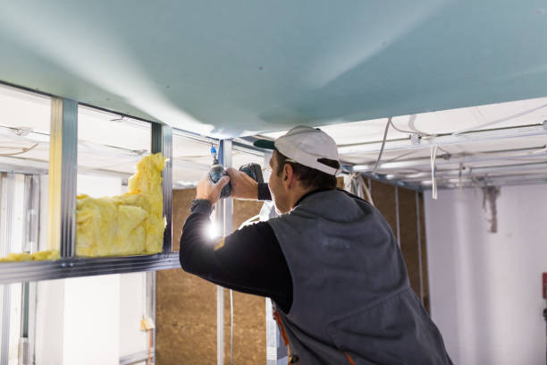 Best Insulation for New Construction  in West Hills, NY
