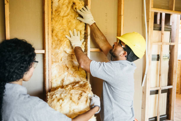Best Fiberglass Insulation  in West Hills, NY