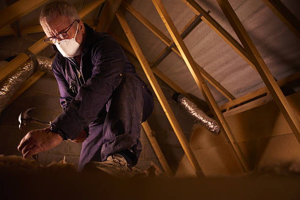Best Insulation Contractors for Homes  in West Hills, NY